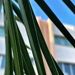Appartement Rix Girne