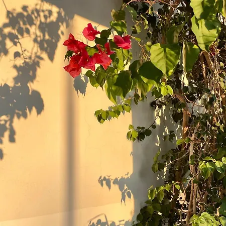 Rix Kyrenia (Northern Cyprus)