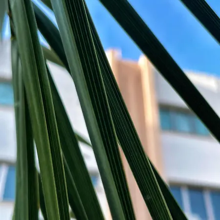 Διαμέρισμα Rix Κερύνεια